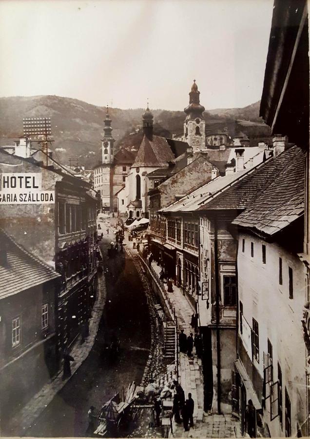 Penzion Rozalia Banská Štiavnica Dış mekan fotoğraf