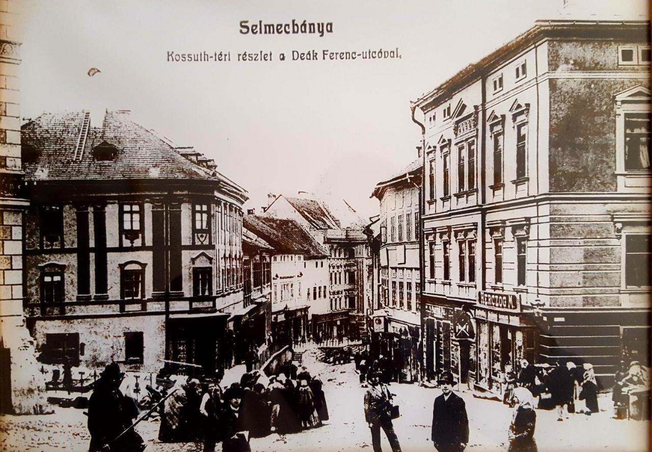 Penzion Rozalia Banská Štiavnica Dış mekan fotoğraf